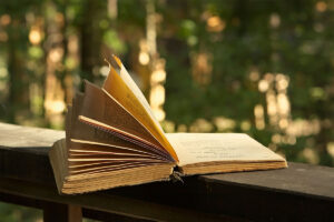 Poetry Inspiration: Finding Your Muse in Everyday Life